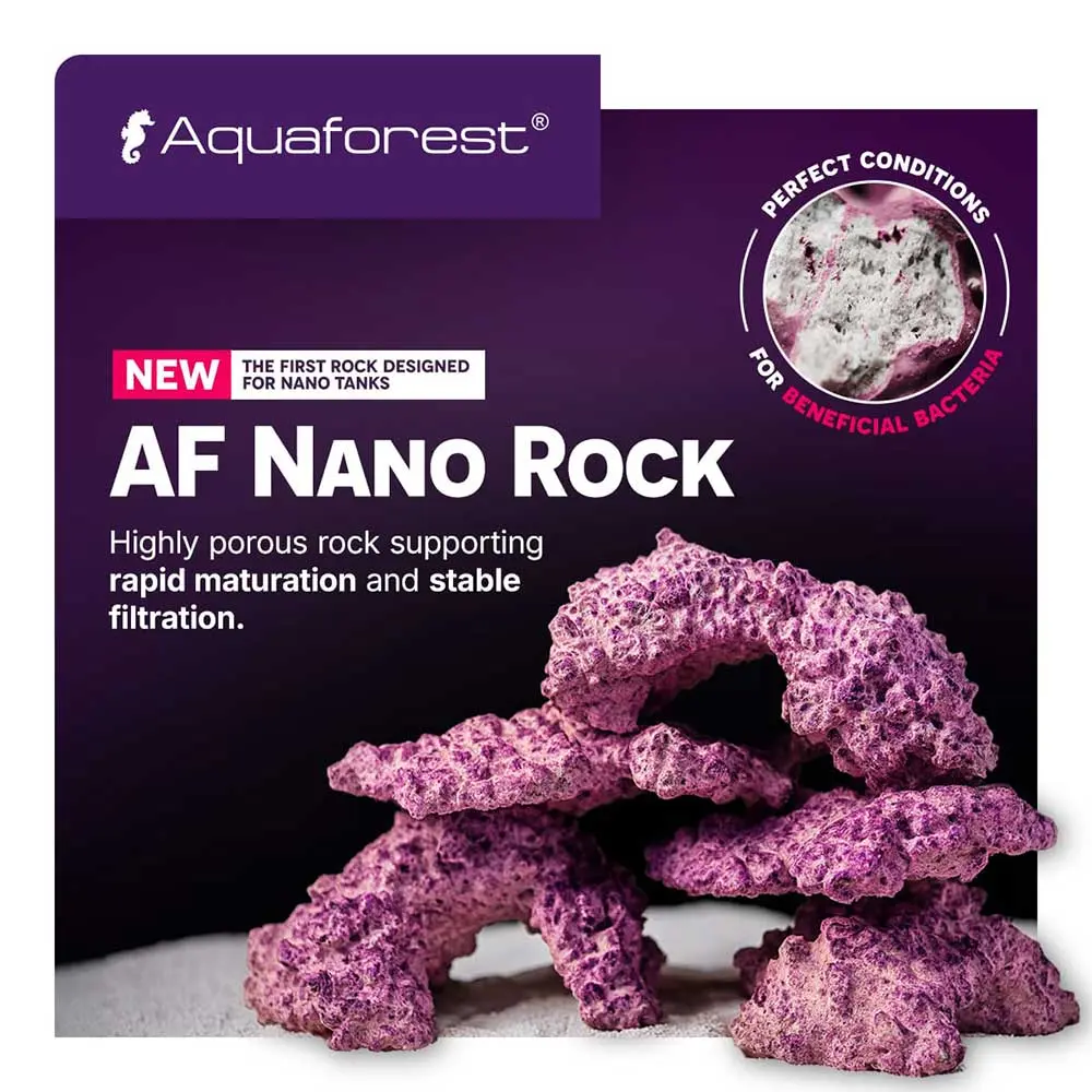 aquaforest-nano-rock-3,5kg-rocce-per-acquario-marino-dettaglio-2.webp