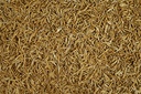 Tetra Anchovies Acciughe per Tartarughe d'acqua 1000ml 150gr