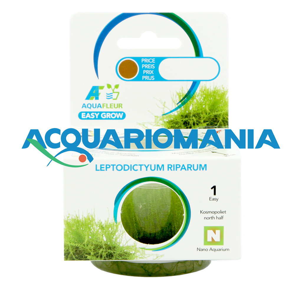 Aquafleur Easy Grow Pianta Leptodictyum Riparum in Vitro Cup