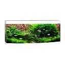Juwel Acquario Vision 450 Litri LED Bianco 151x61x64H cm