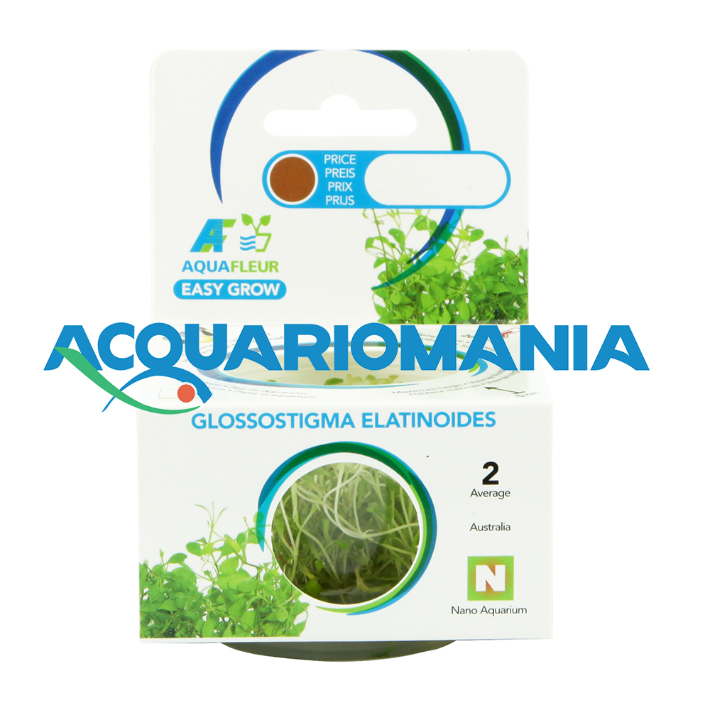 Aquafleur Easy Grow Pianta Glossostigma Elatinoides in Vitro Cup