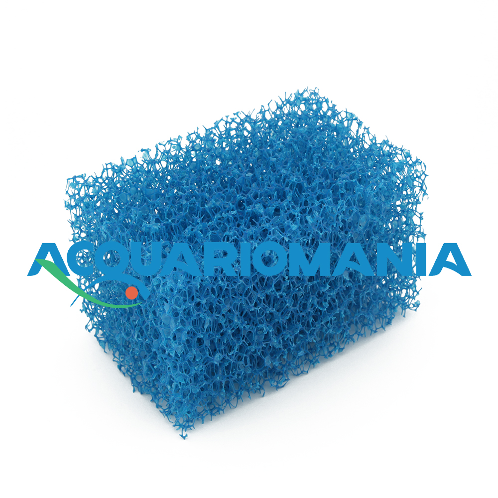Blu Bios Spugna Filtrante grana grossa 13x8x8cm 2pz