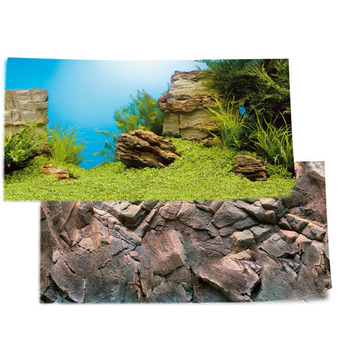 Juwel Sfondo Poster 1 esterno double face L piante/rocce 80x50cm e 100x50cm