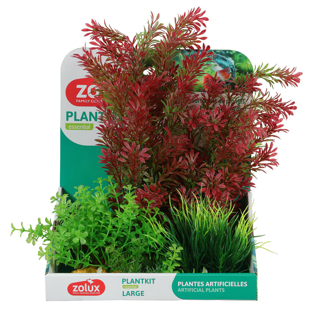 Zolux PlantKit Large 1 Assortimento 7 piantine in plastica