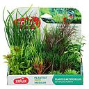Zolux PlantKit Medium 4 Assortimento 6 piantine in plastica