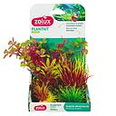 Zolux PlantKit Small 4 Assortimento 3 Piantine in plastica