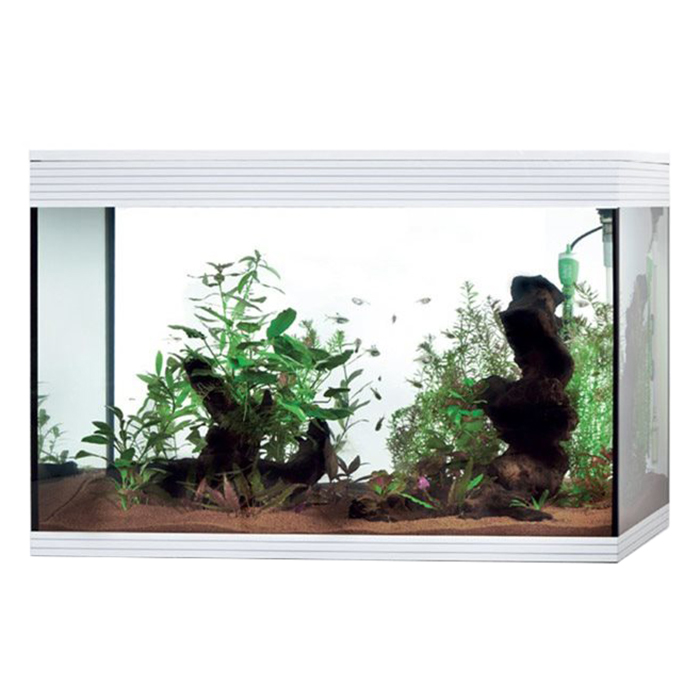 Askoll Acquario Pure LED XL HC High Cube White 76x36x57h cm 130Lt