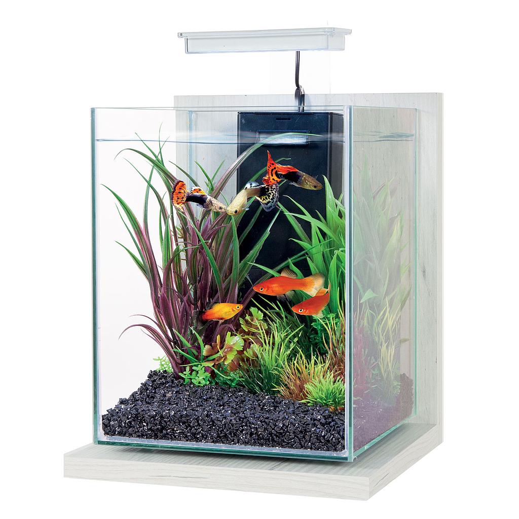 Zolux Jalaya 2 Acquario Ceruse bianco 10 litri