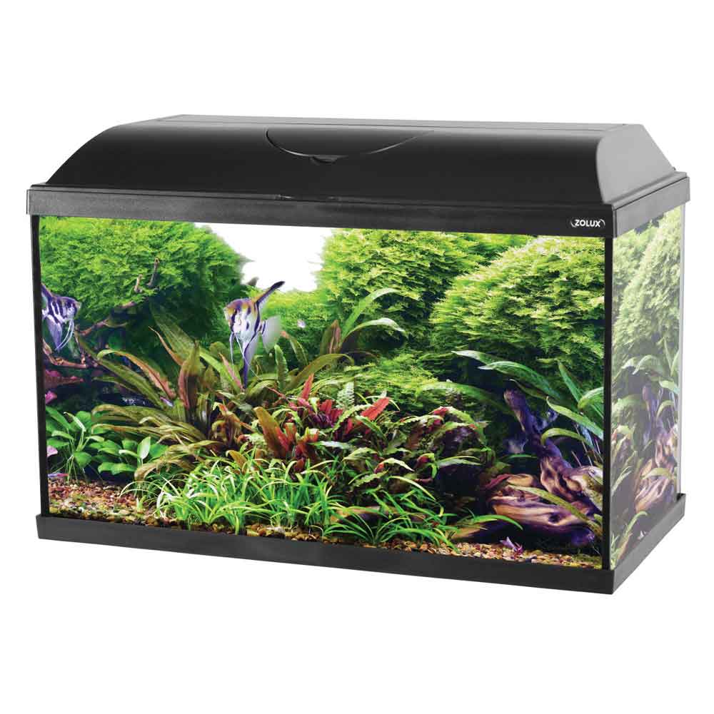 Zolux Acquario Iseo 60 Led Nero 57 litri