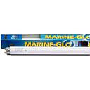 Askoll Lampada a neon Marine Glo T8 40W 1050mm