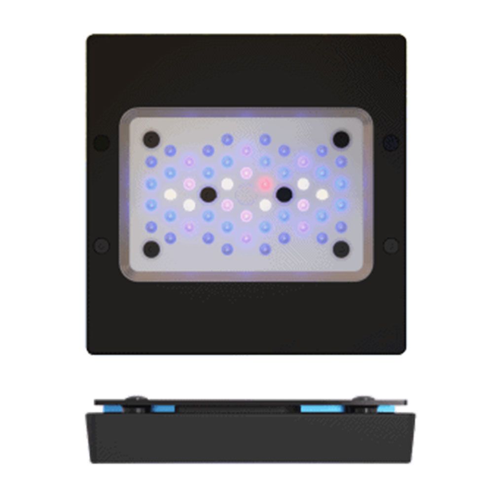 Ecotech Radion XR15W G6 BLU Plafoniera a LED per acquari di barriera 18cm 95W