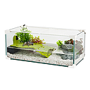 Zolux Karapas Aqua 50 Pro Bianca Tartarughiera 14 Litri 50,5x25,5x20,5h cm