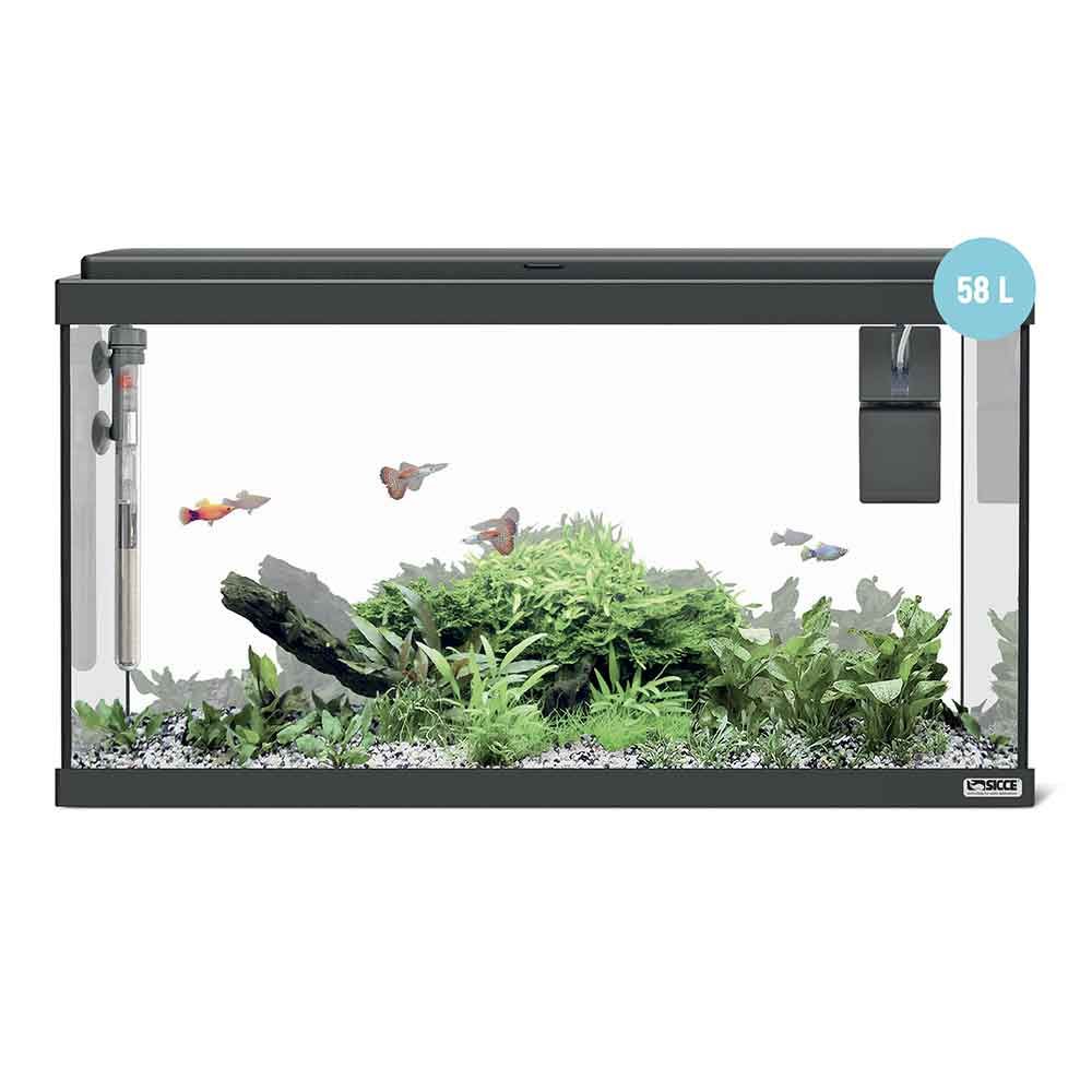 Sicce Acquario Moby Dick 60 New Nero 58 Litri 60x30x34 cm