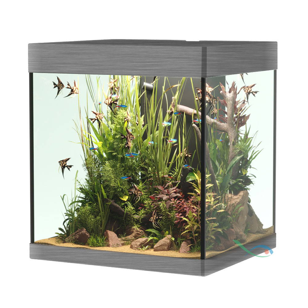 Askoll Opera 80 Acquario completo 80 litri Steel 45x40x50h cm