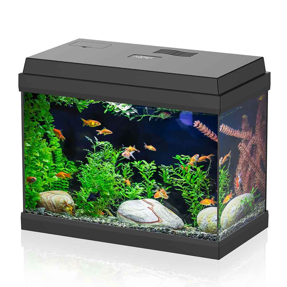 Aqpet Acquario Simply Led 30 39x22x30h cm 30 litri Nero
