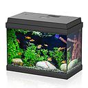 Aqpet Acquario Simply Led 30 39x22x30h cm 30 litri Nero