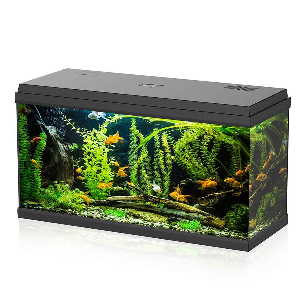 Aqpet Acquario Simply Led 100 80x30x46h cm 100 litri Nero