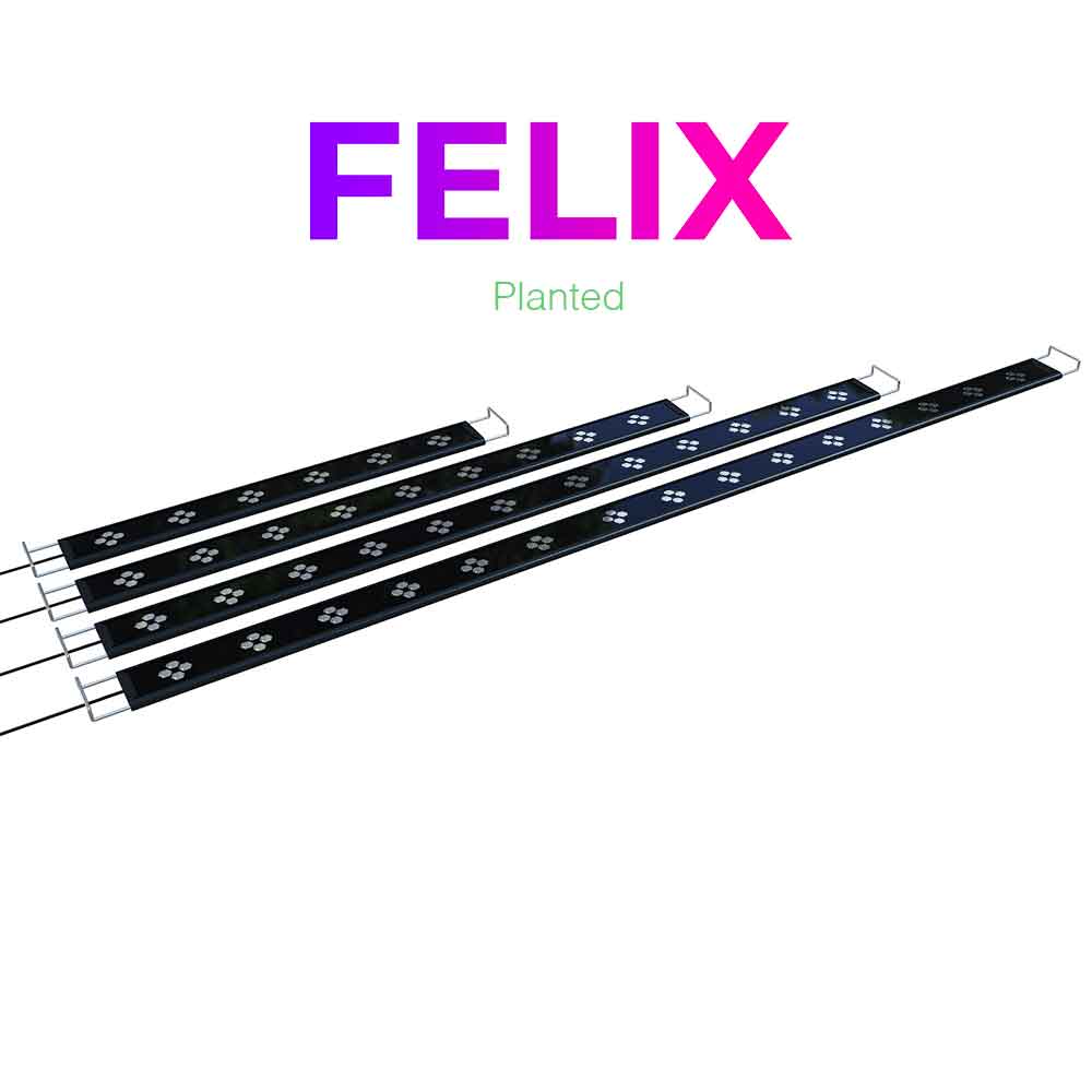 Micmol Felix 120 Planted Lampada Led Cree 60W da 120 a 140cm