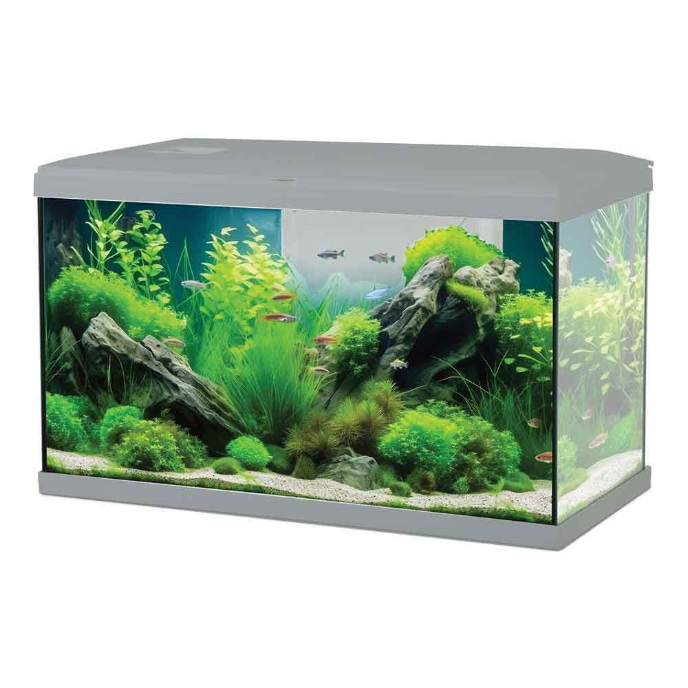 Zolux Acquario Tana 60 Grigio Completo 63 Litri 60x30x35h cm
