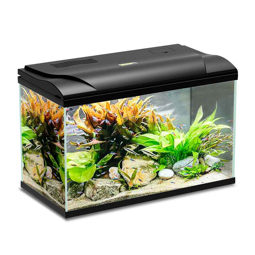 Blu Bios Acquario Magis 50 Nero 49x31x38h cm 50 Litri