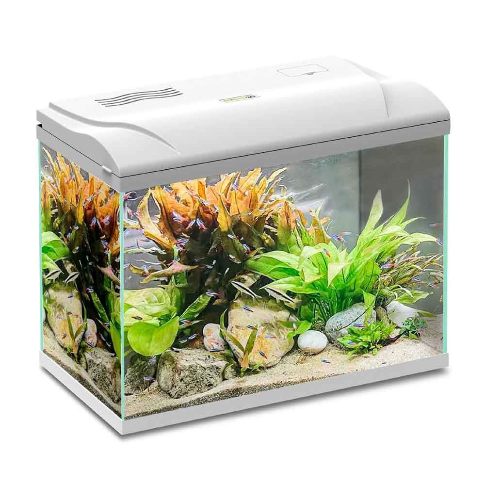 Blu Bios Acquario Magis 50 Bianco 49x31x38h cm 50 Litri