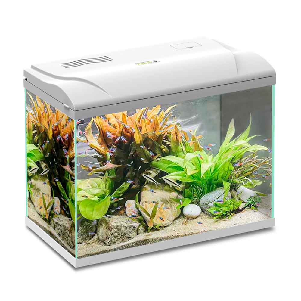 Blu Bios Acquario Magis 30 Bianco 39x22x30h cm 30 Litri