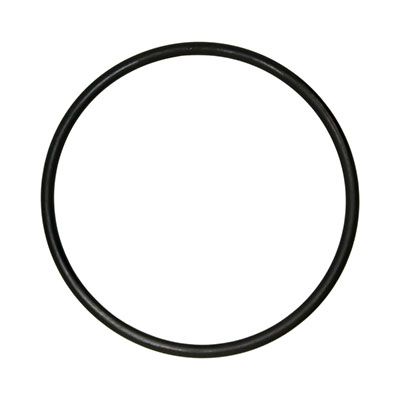 Tunze 3181.241 Oring per Testata Macro Algae Reactor 3181