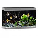 Juwel Acquario Rio 290 Litri LED Grigio 101x51x66H cm