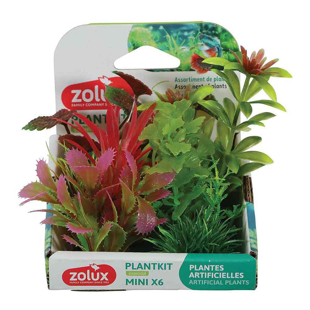 Zolux PlantKit Mini 1 Assortimento 6 piantine in plastica