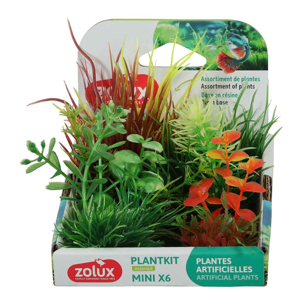 Zolux PlantKit Mini 3 Assortimento 6 piantine in plastica