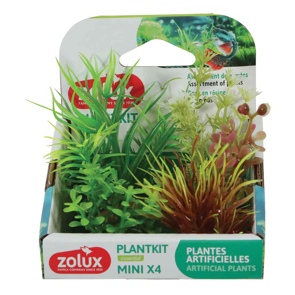 Zolux PlantKit Mini 4 Assortimento 4 piantine in plastica