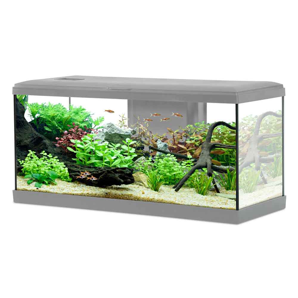 Zolux Acquario Tana 80 Grigio Completo 84 Litri 81x32x39h cm