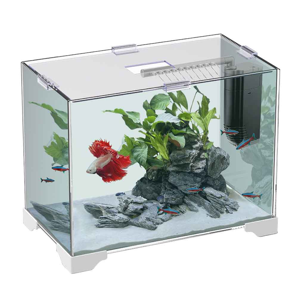 Blu Bios Acquario Only con Filtro e coperchio 15 Litri 35x20x25h cm