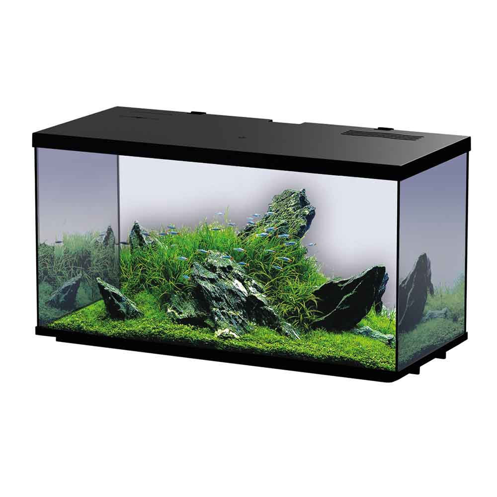 Blu Bios Sirius 21 Acquario completo 38x21x25h cm 18 Litri Nero