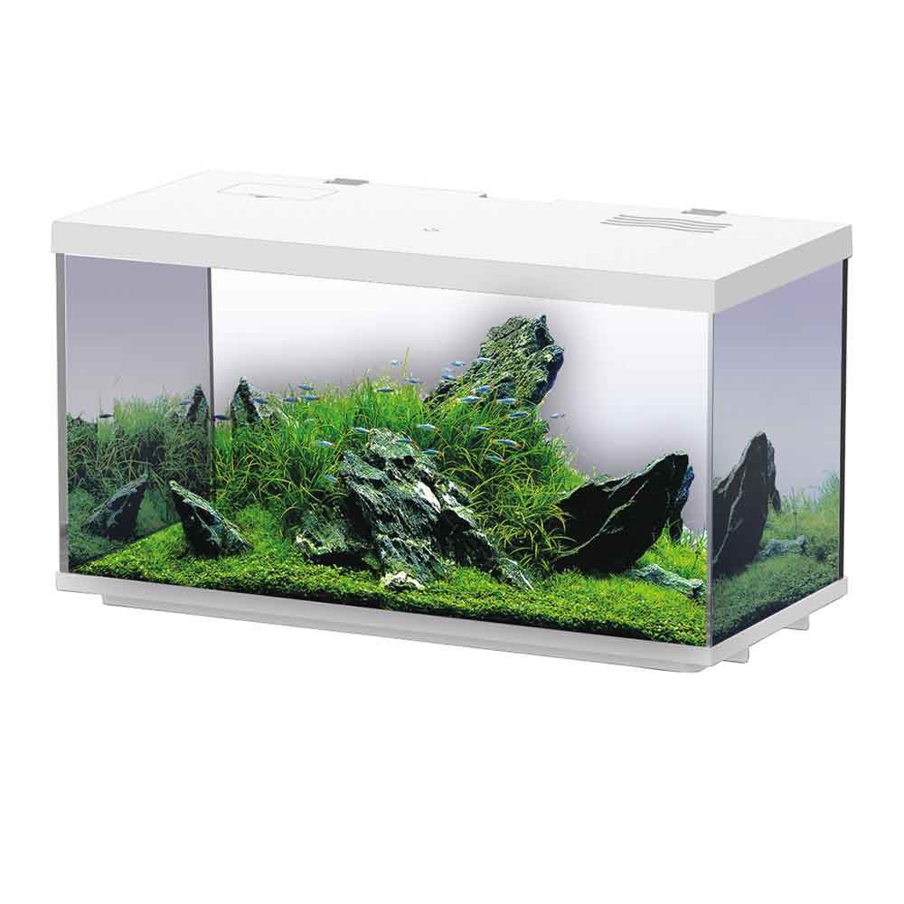 Blu Bios Sirius 51 Acquario completo 60x26x32h cm 45 Litri Bianco