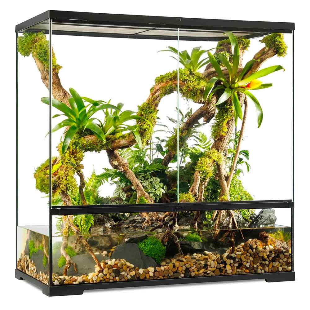 Exoterra Pro Paludarium Large X-Tall Terrario 60x45x60h cm