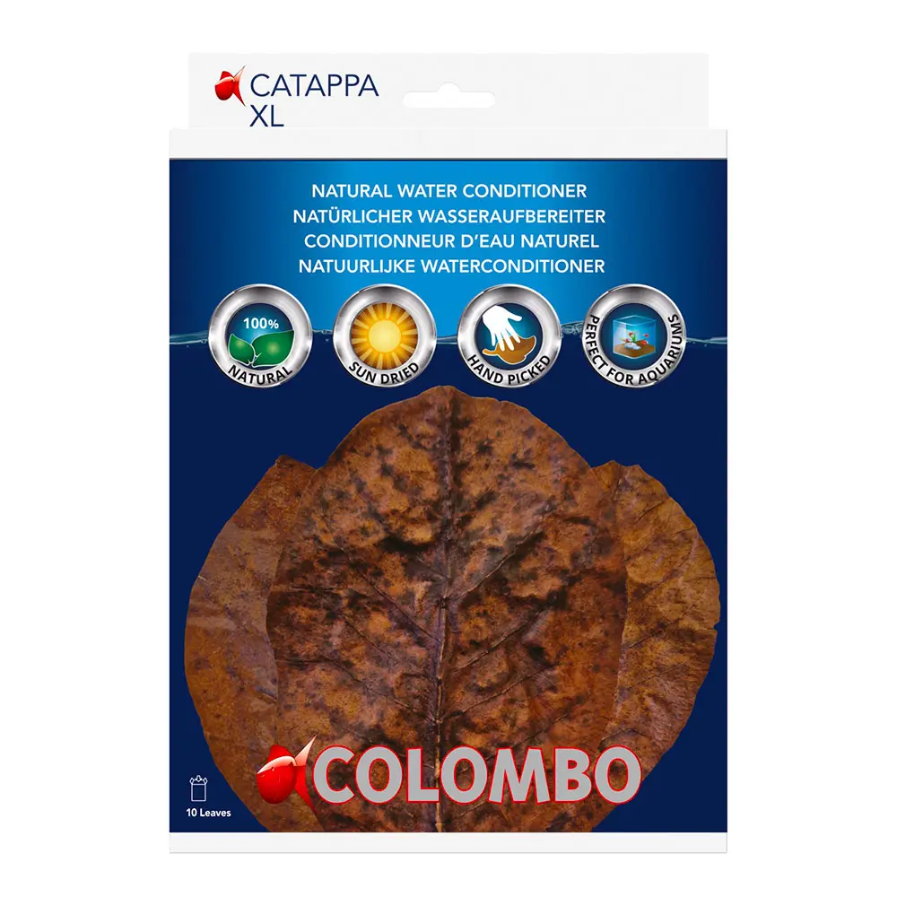 Colombo Catappa XL 10 Foglie circa 12-20 cm – Foglie Naturali per Acquario