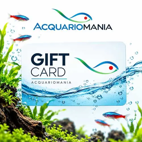 Carta regalo da 200 euro