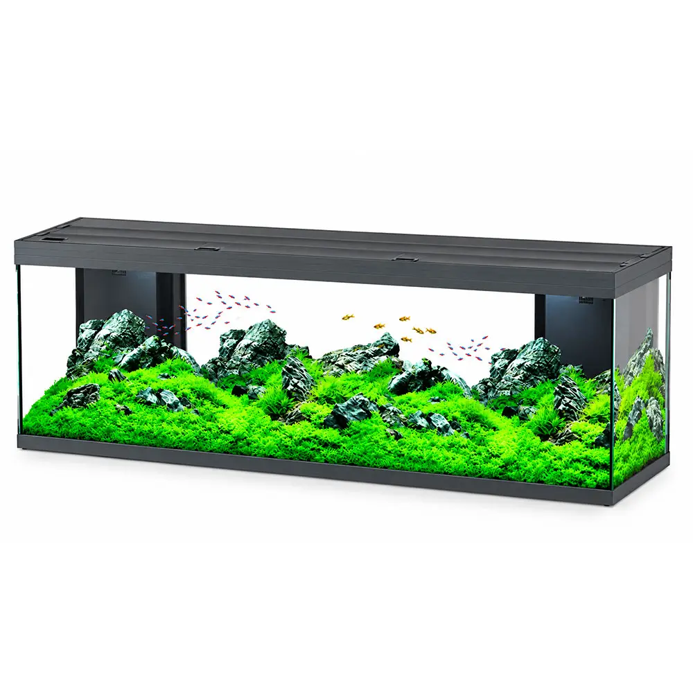 Aquatlantis Splendid Ultra 200 Acquario 500 Litri Filtraggio interno 199x50x61h cm Antracite