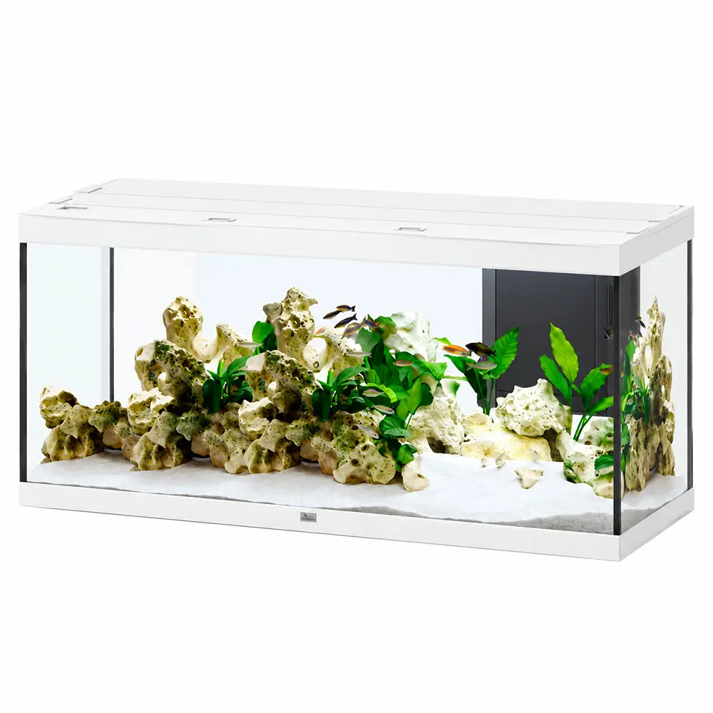 Aquatlantis Splendid Ultra 150 Acquario 450 Litri Filtraggio interno 153x53x68h cm Bianco