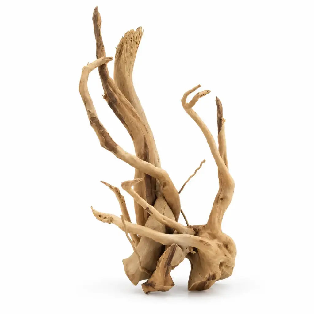 Legno Branch Wood 2288 con foto reale e misure 15x15x25h
