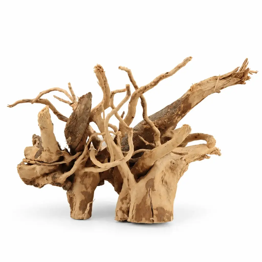 Legno Branch Wood 2291 con foto reale e misure 24x13x16h
