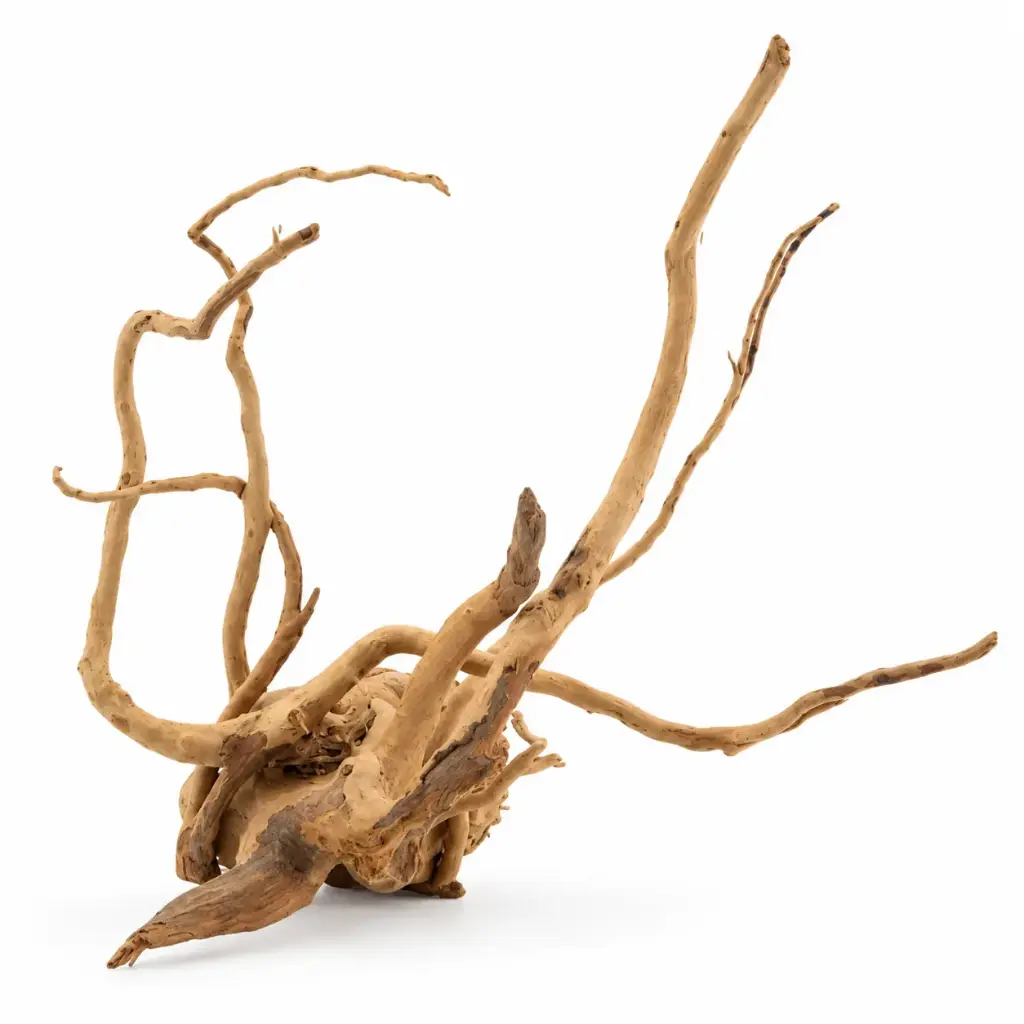 Legno Branch Wood 2292 con foto reale e misure 22x13x21h
