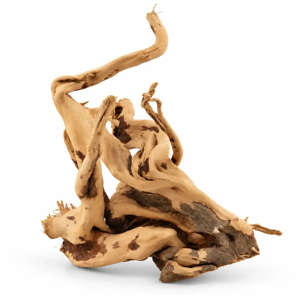 Legno Branch Wood 2295 con foto reale e misure 17x16x19h