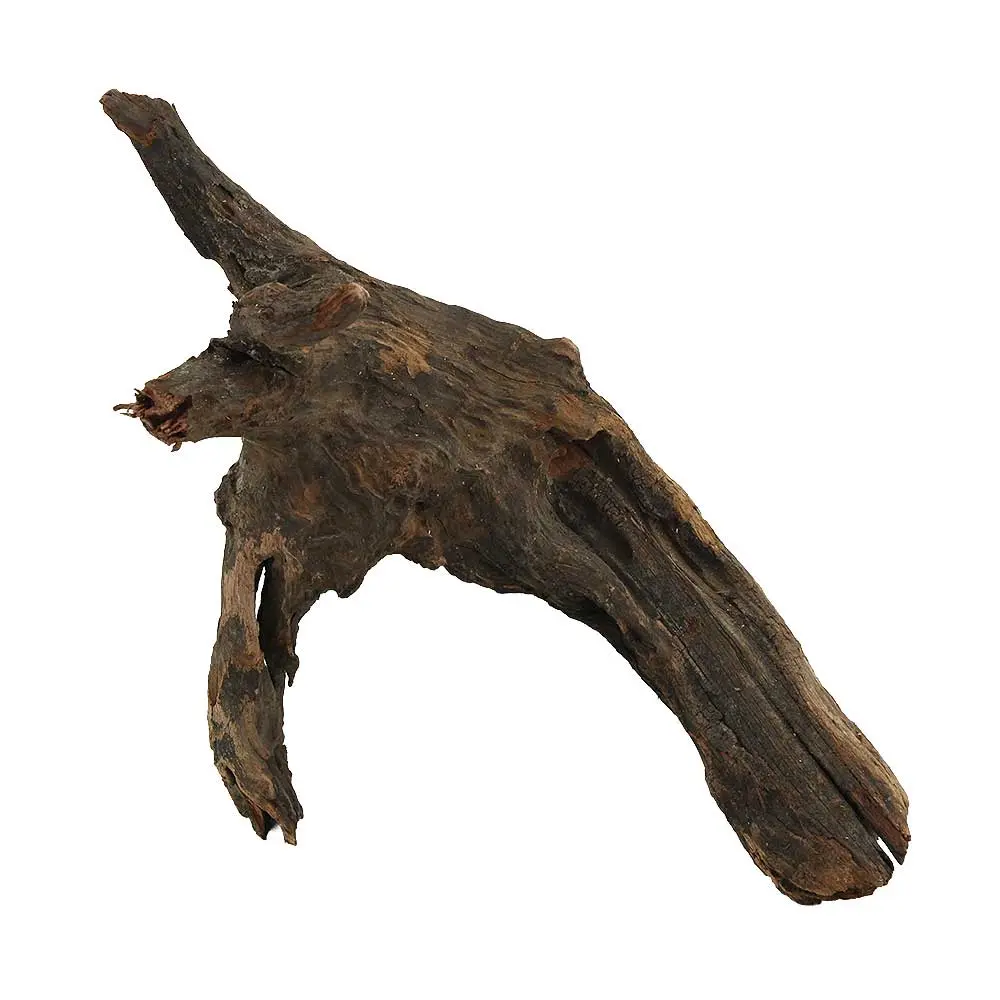 Legno Drift Wood 177 con foto reale e misure 24x16x25h