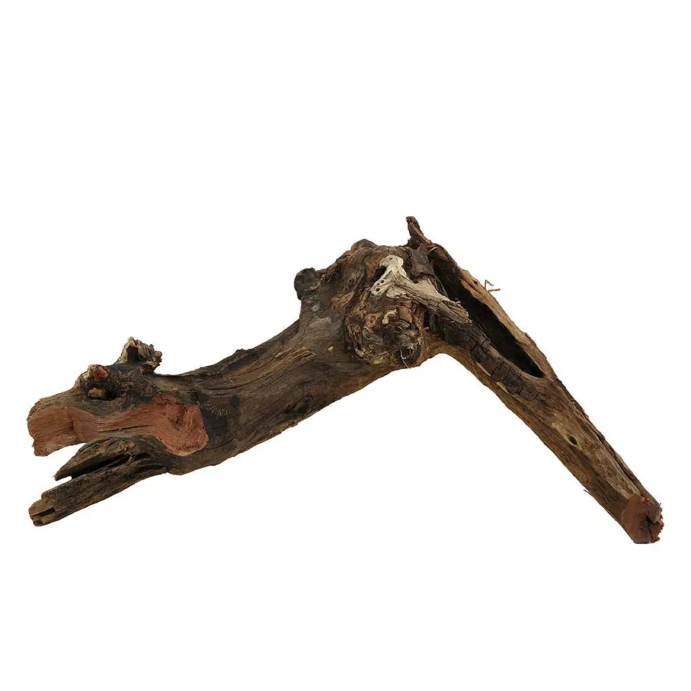 Legno Drift Wood 183 con foto reale e misure 36x14x18h