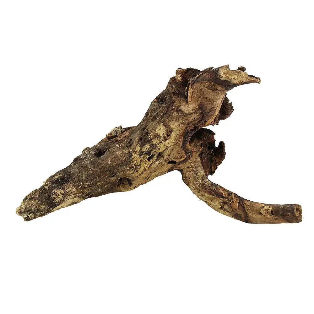 Legno Mopani 921 con Foto Reale e Misure 32x11x19h cm