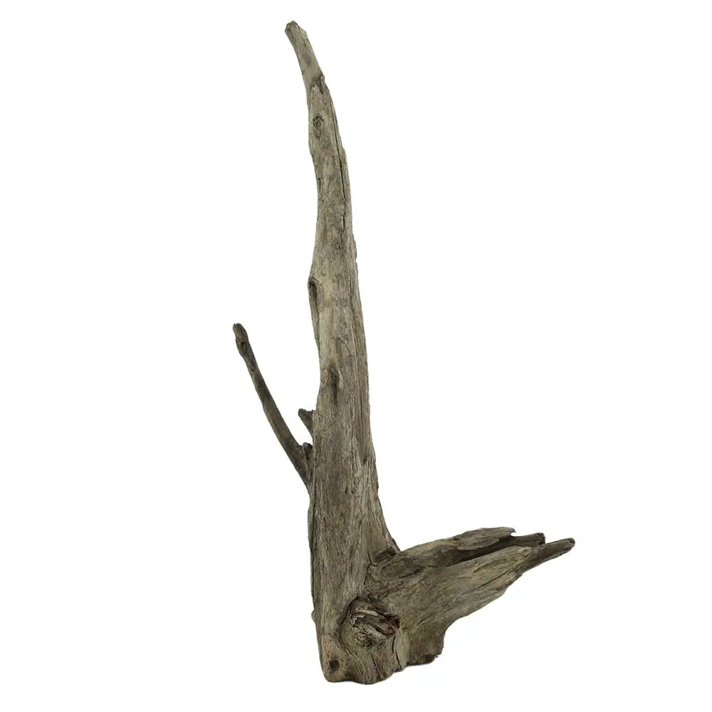 Legno Thai Orchidea 1 con Foto Reale e Misure 36x18x65h cm