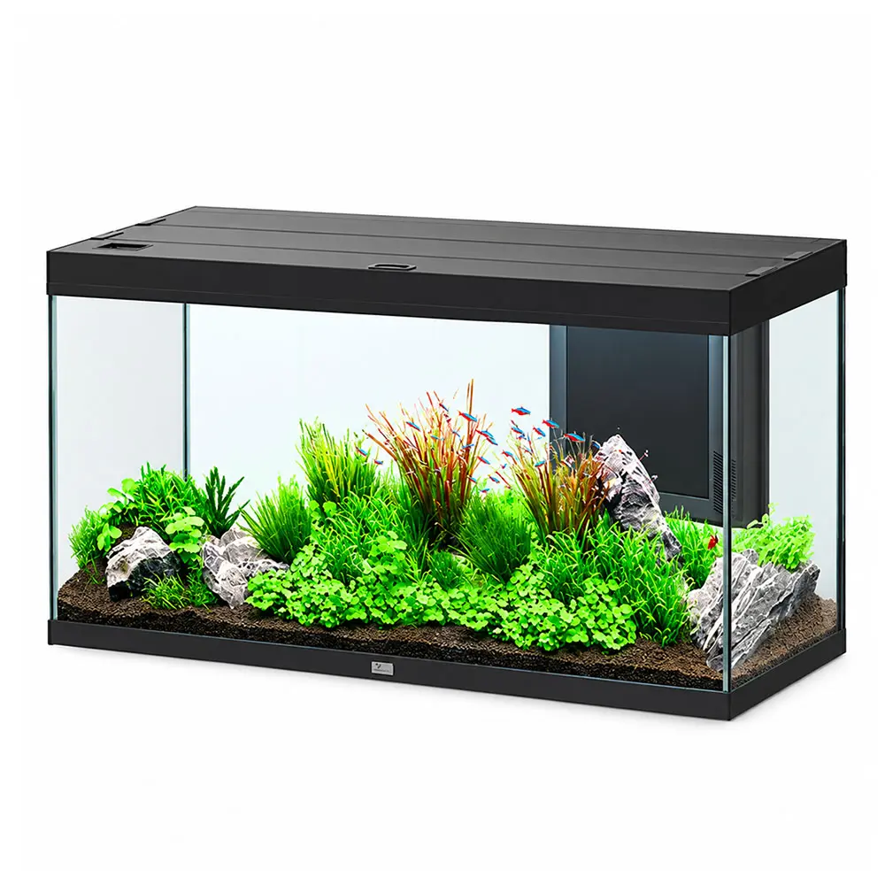 Aquatlantis Splendid Ultra 120 Acquario 240 Litri Filtraggio interno 120x40x61 cm Nero