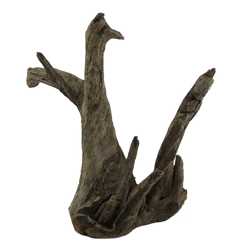 Legno Thai Orchidea 2 con Foto Reale e Misure 39x22x40h cm